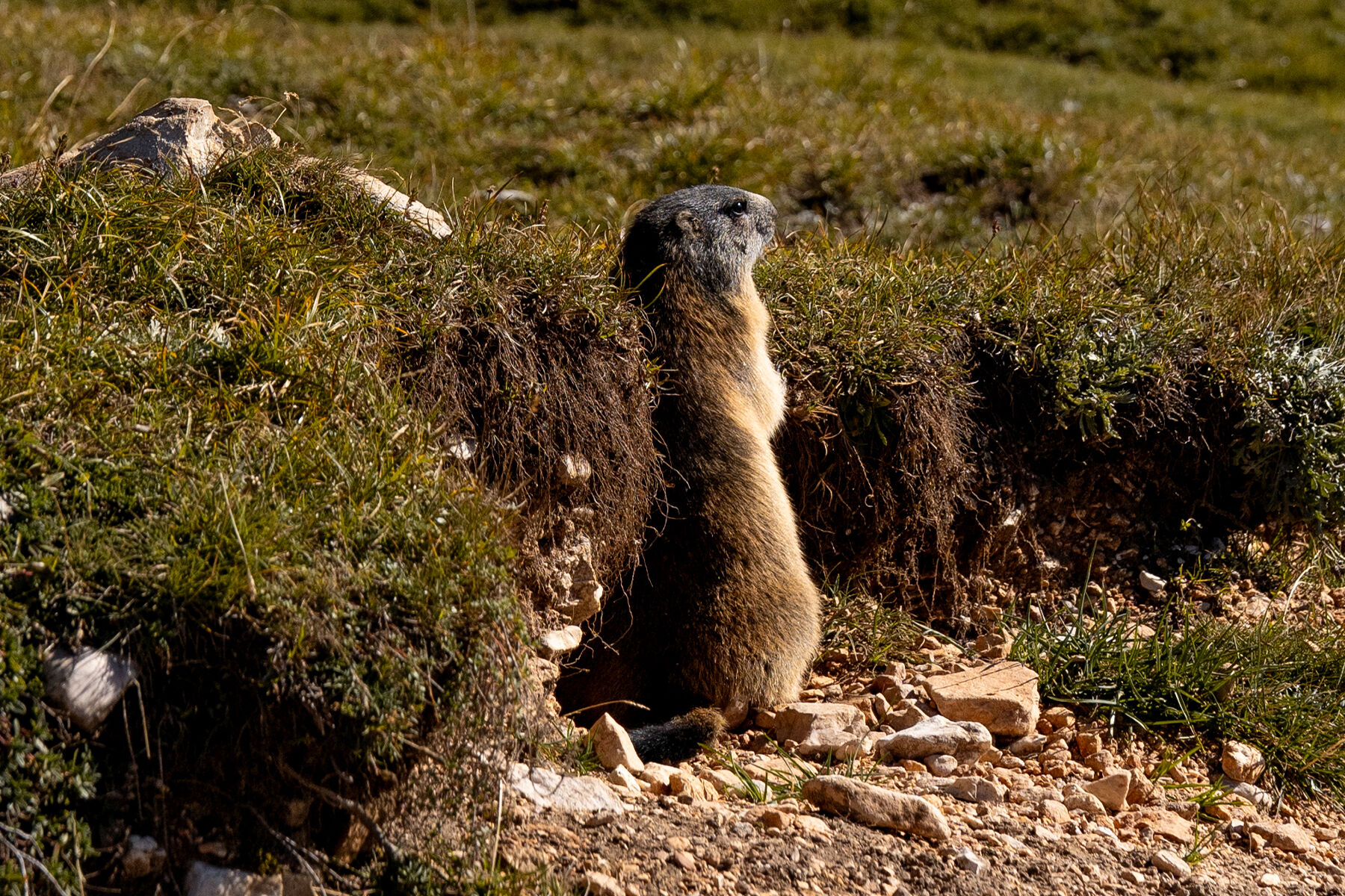 Zoldo Valley Ring - Veneto, Italy